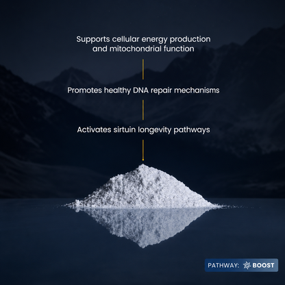 Vytalcore™ Pure NMN (Nicotinamide Mononucleotide) Powder